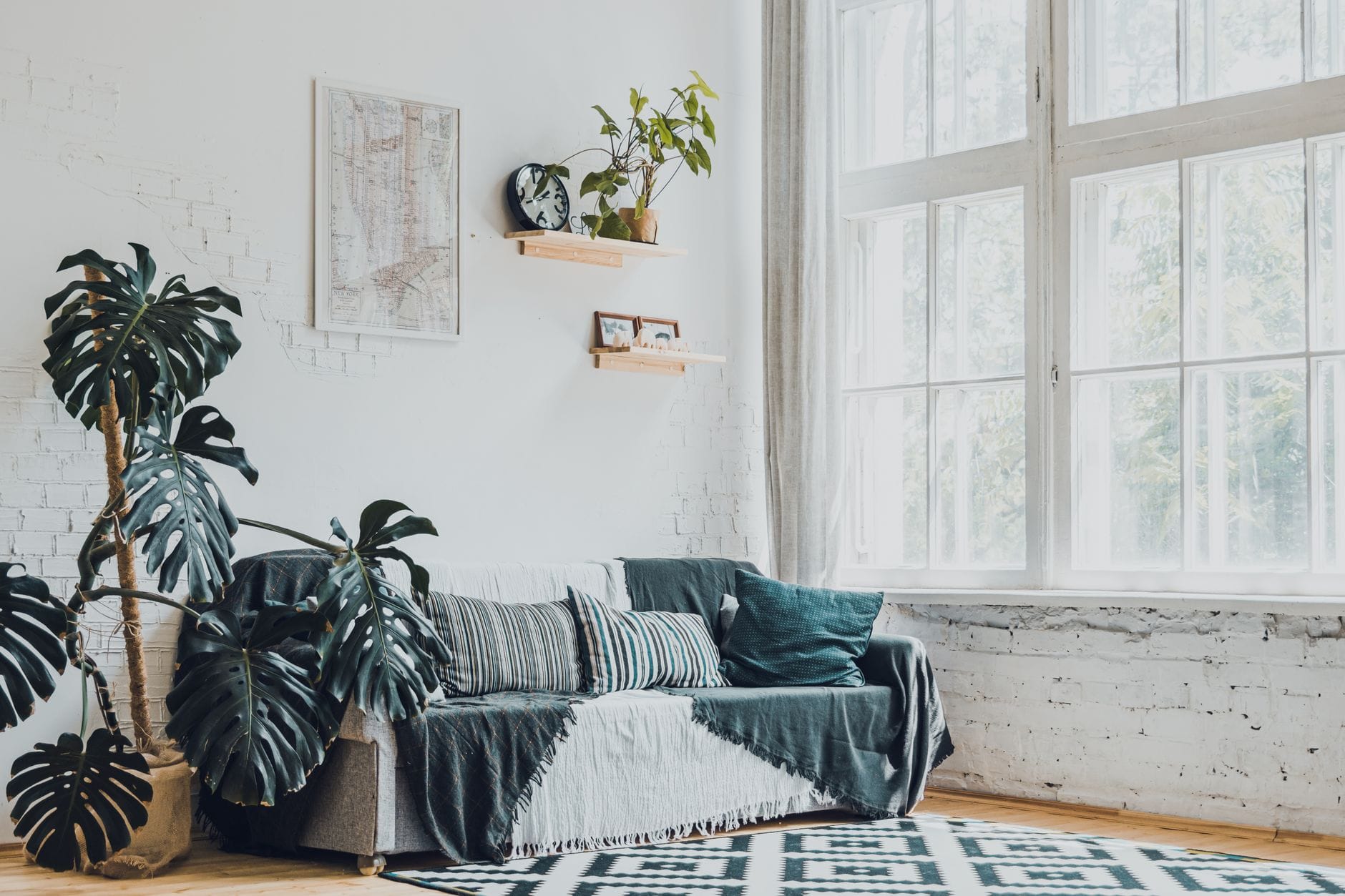 Jasny salon z dywanem, rośliną monstera i przytulnymi dekoracjami