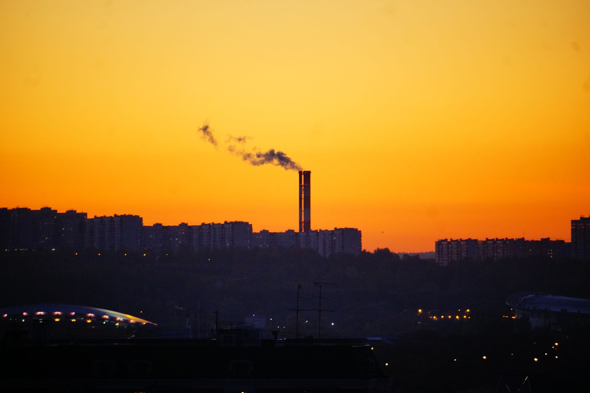 Pszczoły a smog: co wiemy o wpływie zanieczyszczeń powietrza na orientację?
